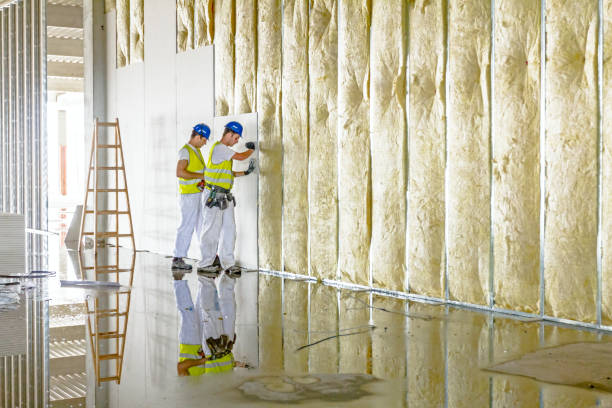 Best Insulation Maintenance and Repair in Adamstown, PA
